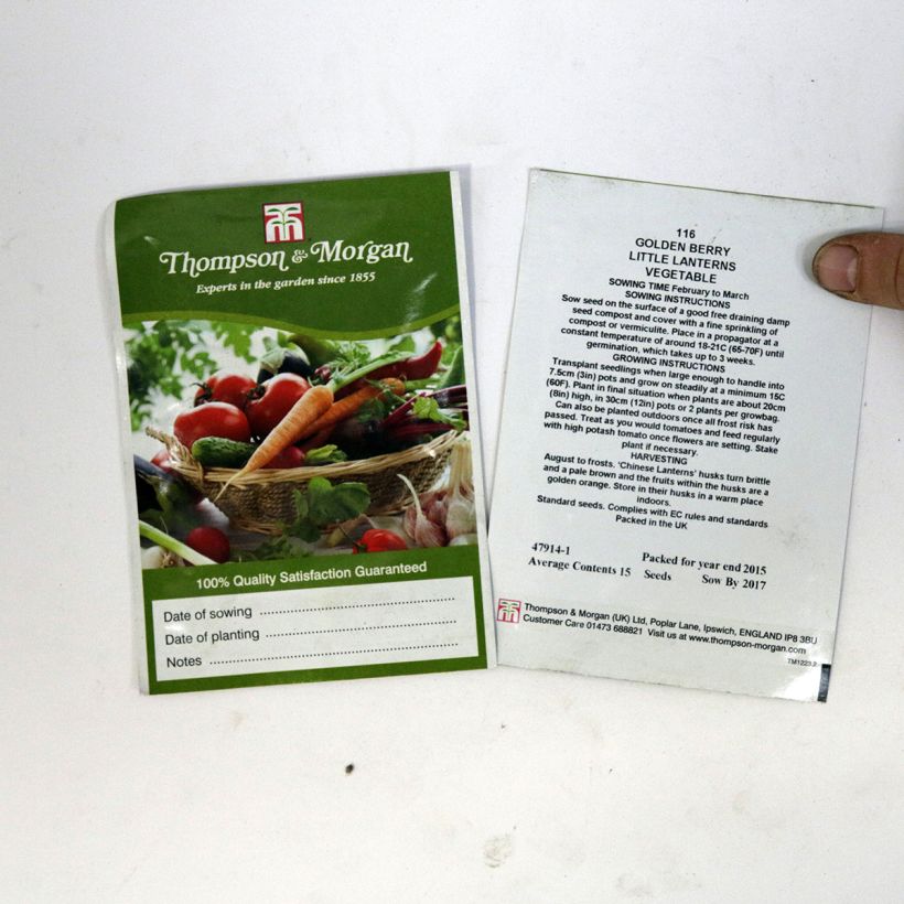 Exemplo de amostra de Graines de Golden Berry Little Lanterns - Coqueret du Pérou die Tüte mit 15 Samen tal como entregue