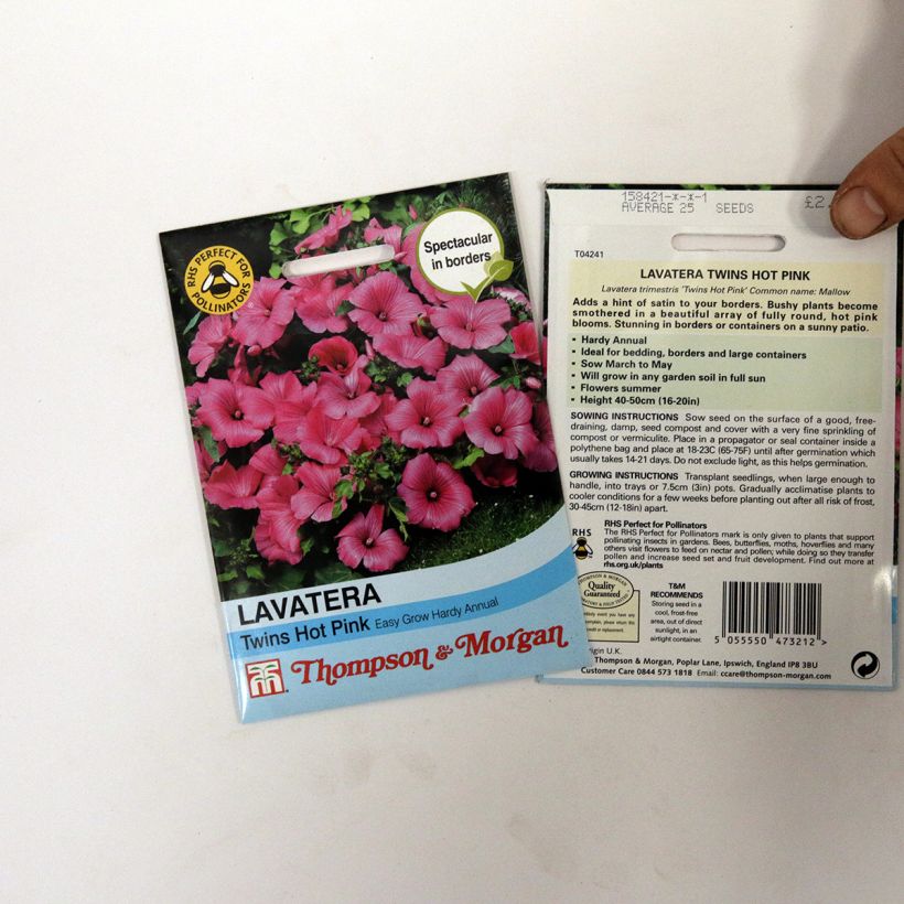 Exemplo de amostra de Graines de Lavatère annuelle Twins Hot Pink per pack of 25 seeds tal como entregue