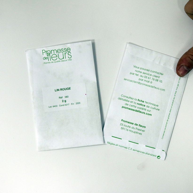 Exemplo de amostra de Graines de Lin rouge - Linum grandiflorum Rubrum per pack of 600 seeds (2g) tal como entregue