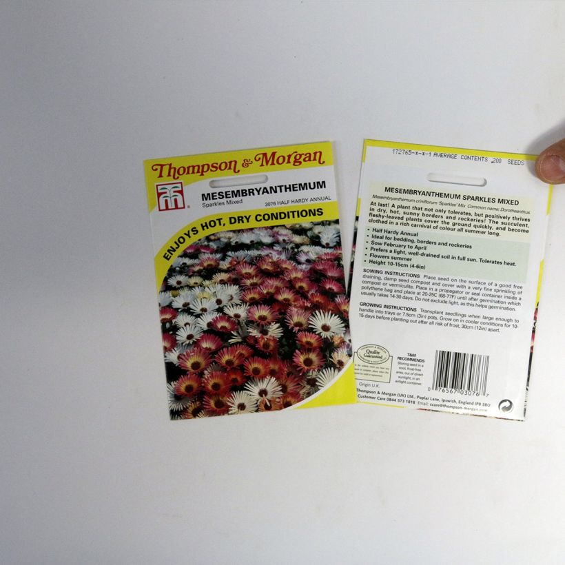 Exemplo de amostra de Graines de Mesembryanthemum Sparkles Mixed - Ficoïde die Tüte mit 200 Samen tal como entregue