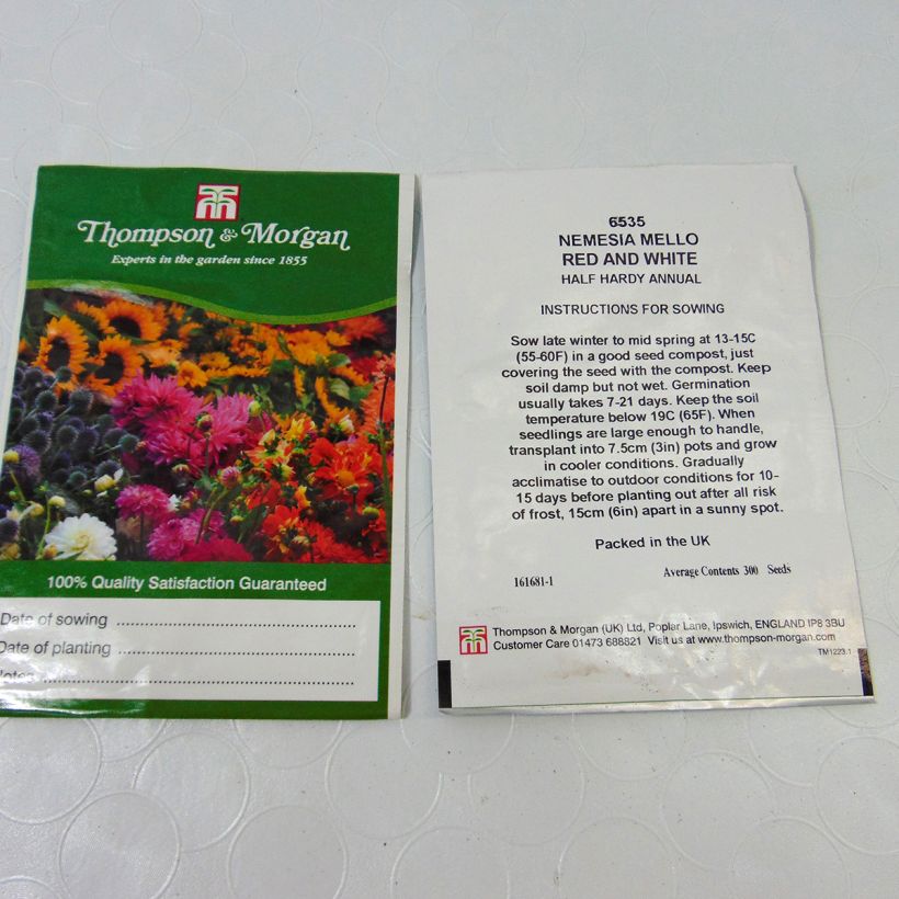 Exemplo de amostra de Graines de Nemesia Mello Red & White - Miroir des elfes per pack of 850 seeds (0,2g) tal como entregue