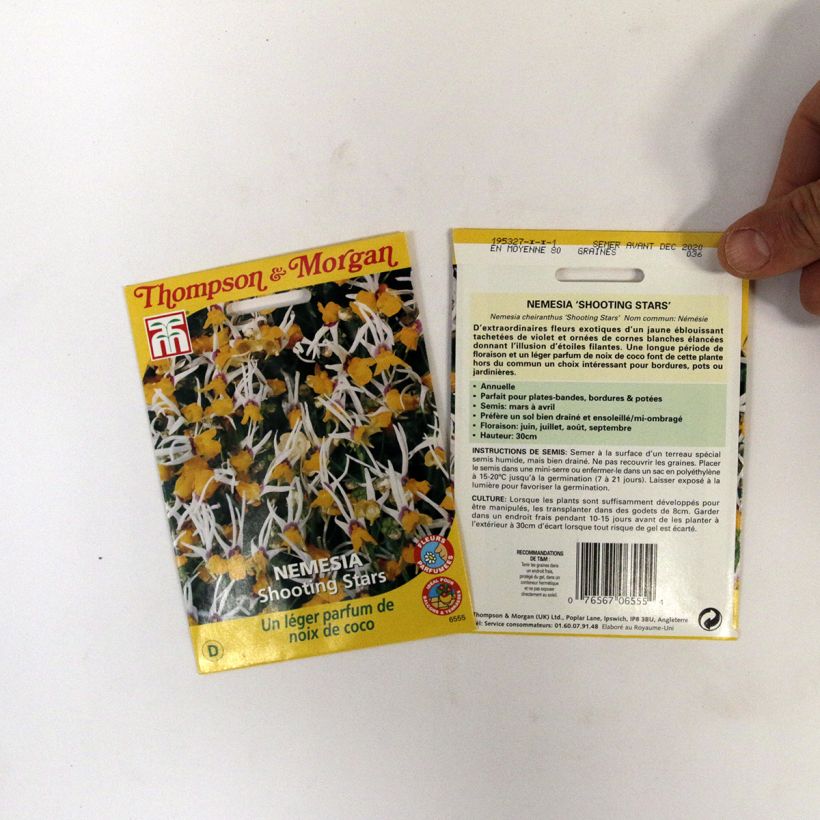 Exemplo de amostra de Graines de Nemesia cheiranthus Shooting Stars - Miroir des elfes per 0.012 g seed pack tal como entregue