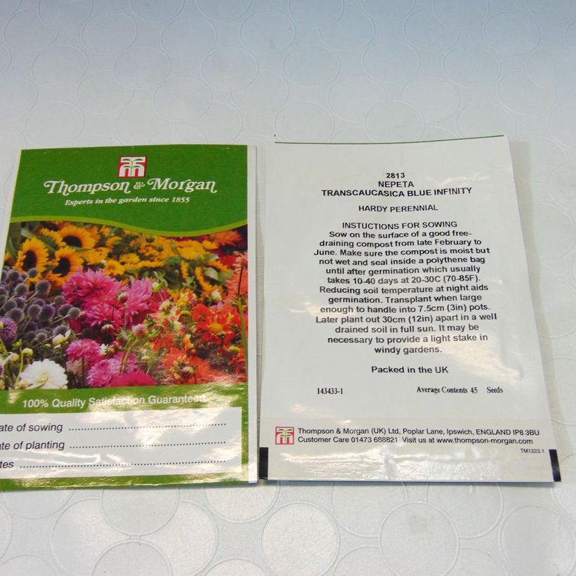 Exemplo de amostra de Nepeta transcaucasica Blue Infinity em sementes o saco de 45 sementes aproximadamente tal como entregue