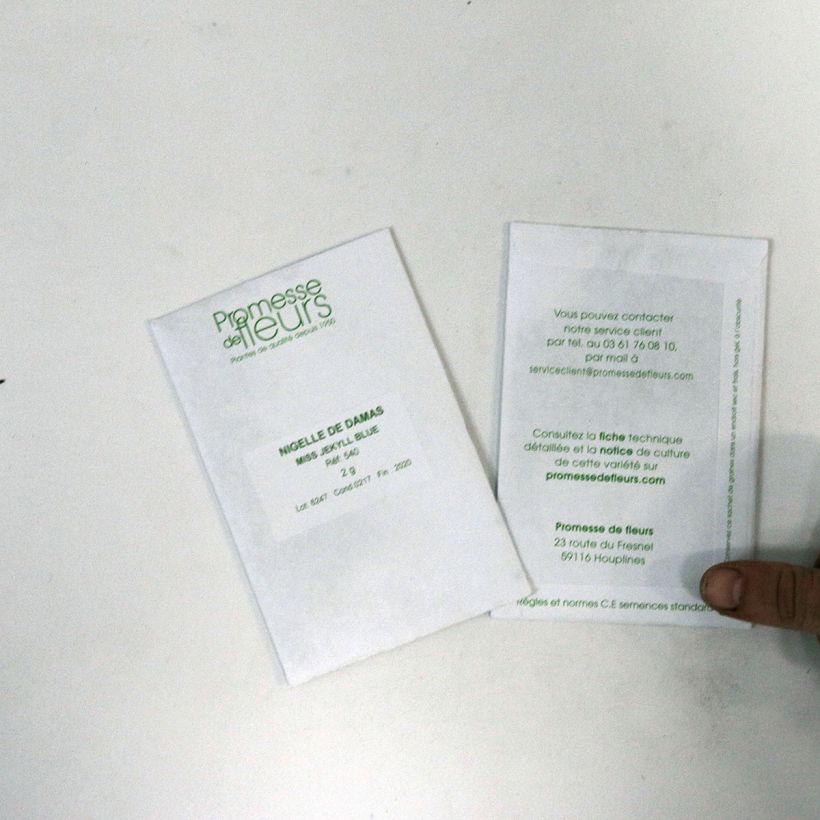 Exemplo de amostra de Graines de Nigelle de Damas Miss Jekyll Blue - Nigella damascena per pack of 600 seeds (2g) tal como entregue