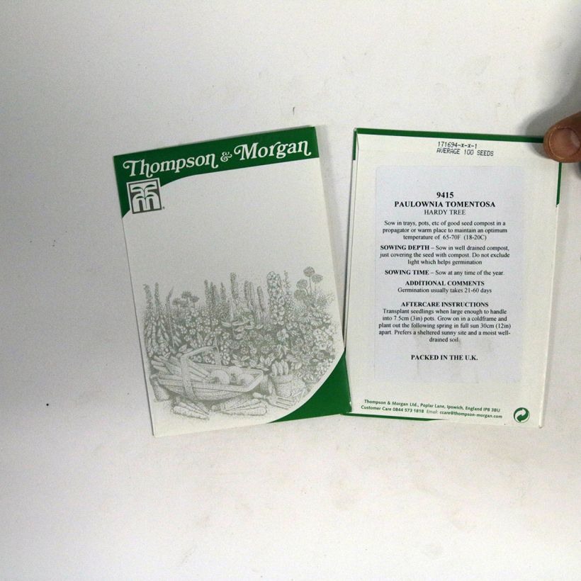 Exemplo de amostra de Paulownia tomentosa em sementes - Paulónia o saco de 100 sementes aproximadamente tal como entregue