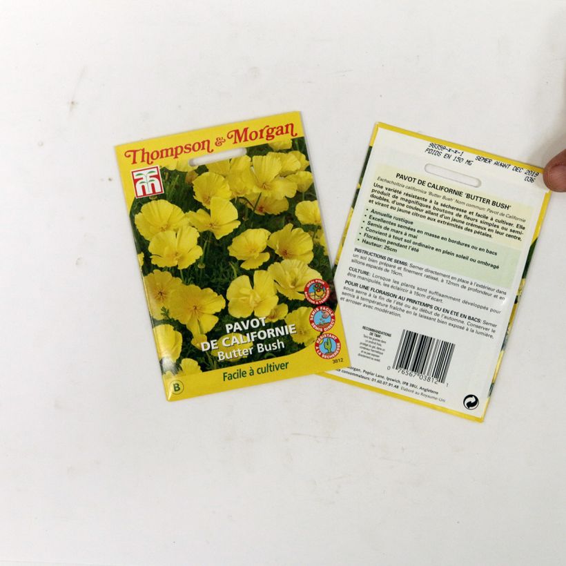 Exemplo de amostra de Graines de Pavot de Californie Butter Bush - Eschscholzia californica  per pack of 350 seeds (0,6g) tal como entregue