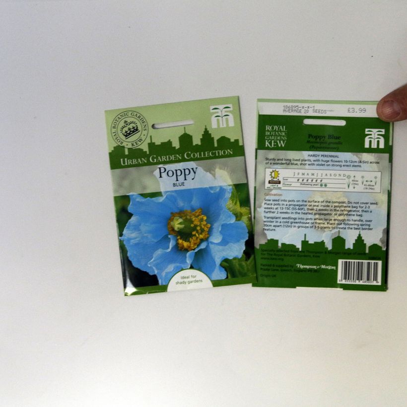 Exemplo de amostra de Graines de Pensée Chalon Supreme Wildberry Mixed - Viola x wittrockiana die Tüte mit 20 Samen tal como entregue