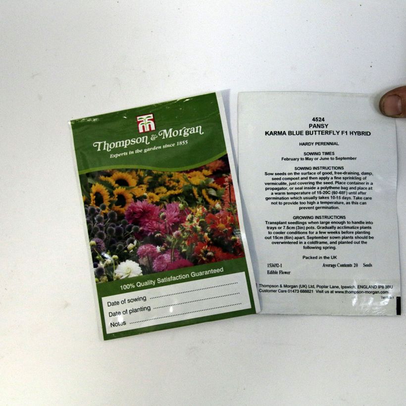 Exemplo de amostra de Graines de Pensée Karma Blue Butterfly F1 - Viola x wittrockiana die Tüte mit 20 Samen tal como entregue