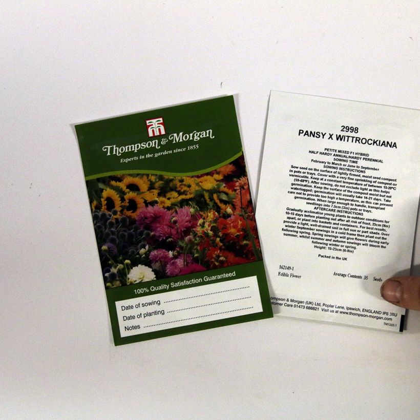 Exemplo de amostra de Graines de Pensée Petite Mixed F1 - Viola x wittrockiana die Tüte mit 35 Samen tal como entregue