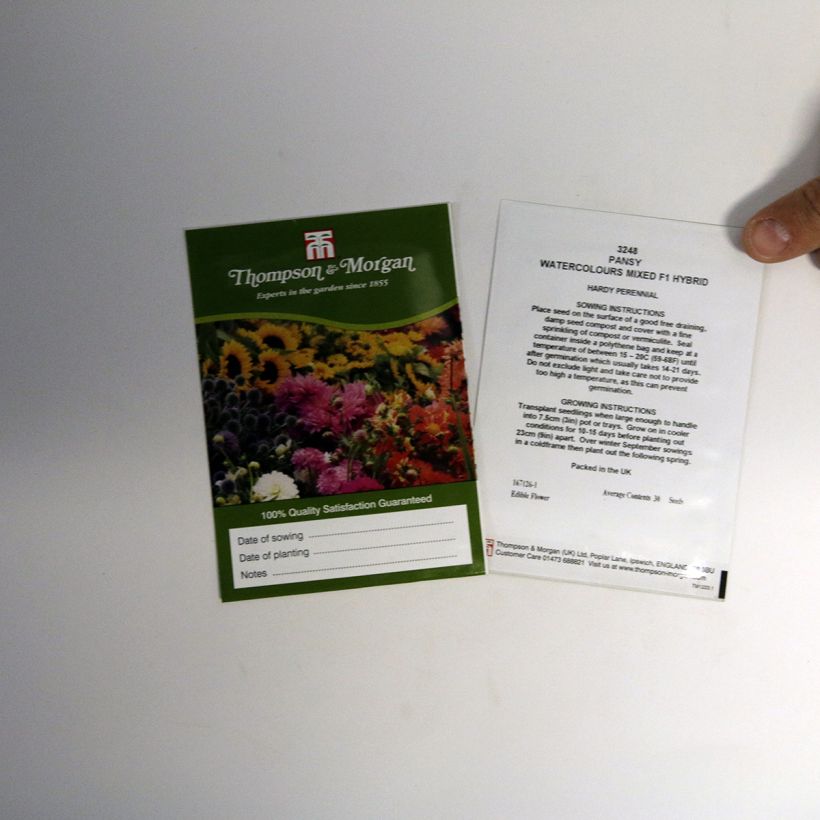 Exemplo de amostra de Graines de Pensée Water Colours Mixed F1 - Viola x wittrockiana die Tüte mit 30 Samen tal como entregue