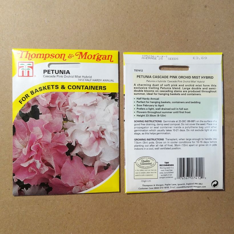 Exemplo de amostra de Graines de Pétunia Cascade Pink Orchid Mist F1 die Tüte mit 25 Samen tal como entregue