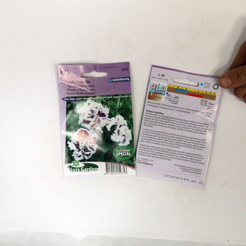 Exemplo de amostra de Graines de Pétunia Purple Pirouette F1 à fleurs doubles die Tüte mit 30 Samen tal como entregue