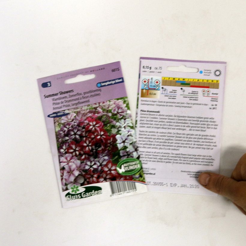 Exemplo de amostra de Graines de Phlox drummondii Summer Showers en mélange - Phlox de Drummond  die Tüte mit 75 Samen tal como entregue
