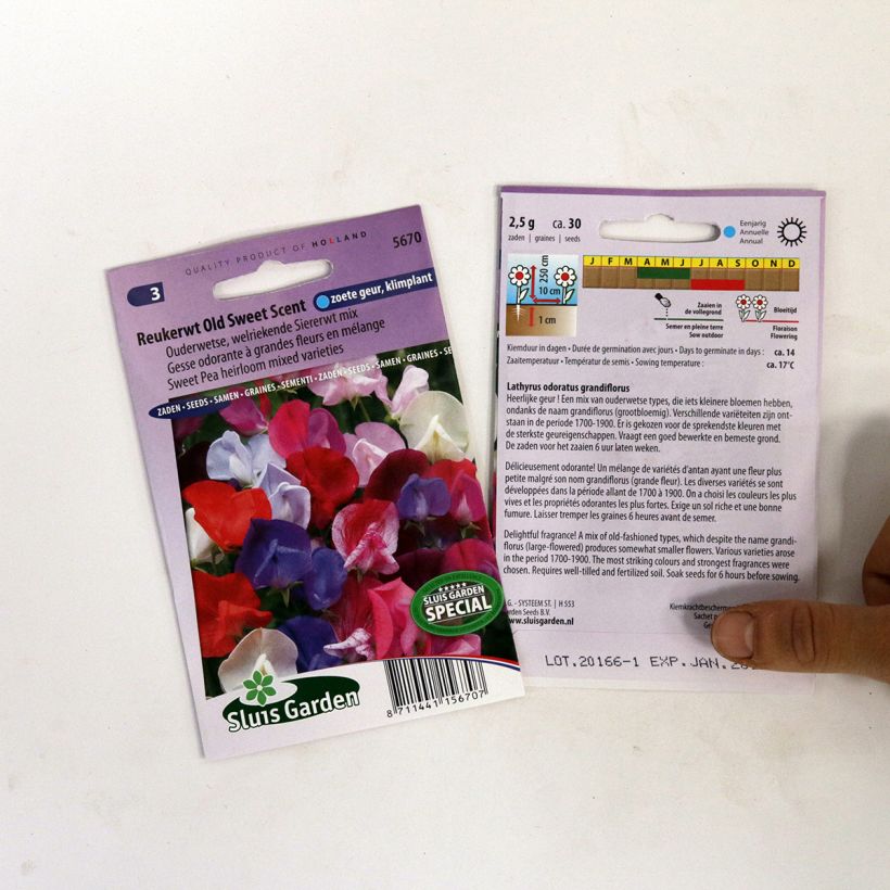 Exemplo de amostra de Graines de Pois de senteur Old Sweet Scent - Lathyrus odoratus  per pack of 30 seeds tal como entregue