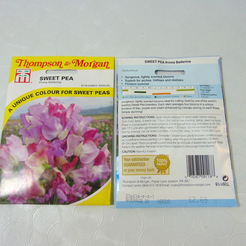 Exemplo de amostra de Graines de Pois de Senteur Prima Ballerina - Lathyrus odoratus per pack of 25 seeds (2,5g) tal como entregue