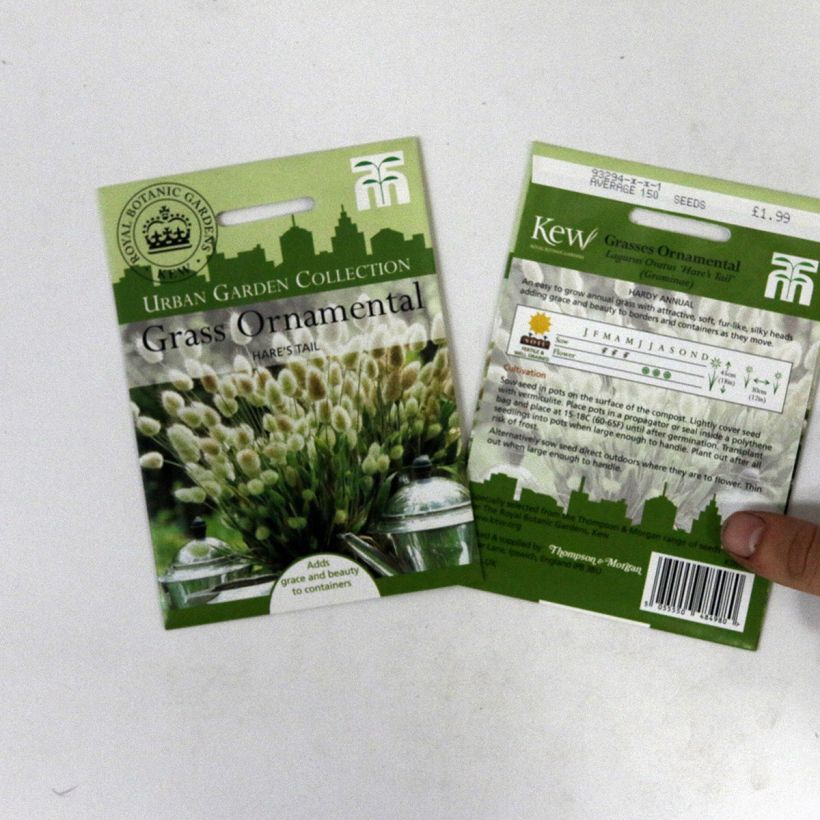 Exemplo de amostra de Lagurus ovatus em sementes o saco de 50 sementes aproximadamente (0,2g) tal como entregue