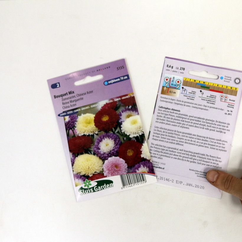 Exemplo de amostra de Áster-da-china Bouquet em sementes o saco de 300 sementes aproximadamente (0,8g) tal como entregue