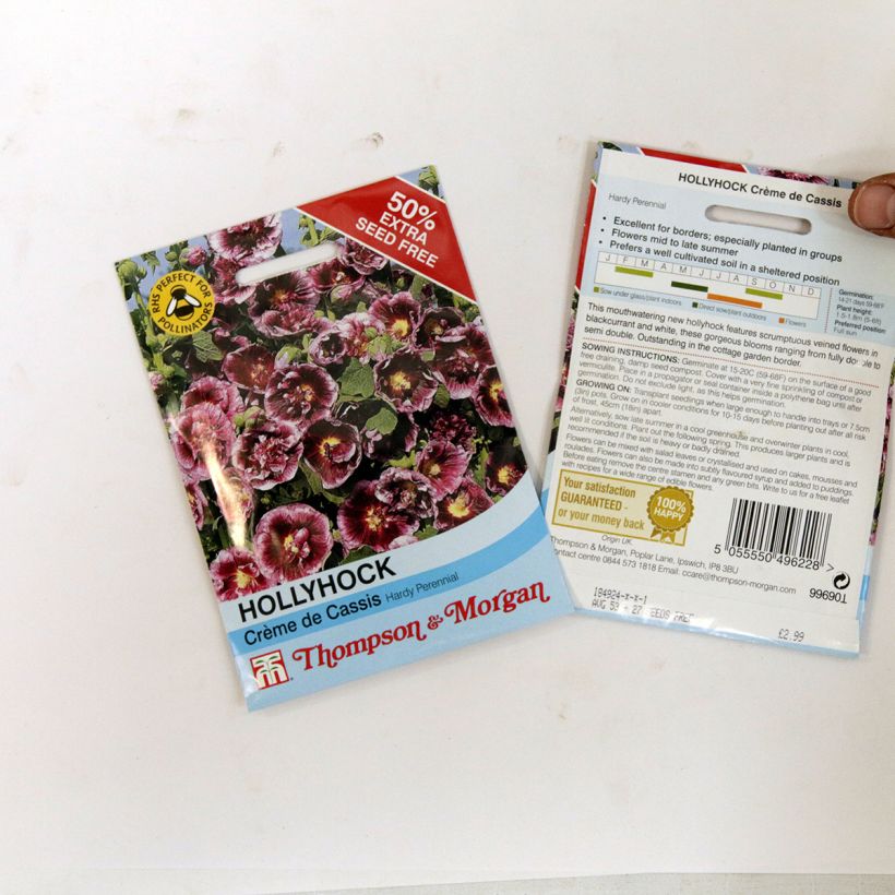Exemplo de amostra de Graines de Rose trémière Crème de cassis - Alcea rosea die Tüte mit Samen von 0.48 Gramm tal como entregue