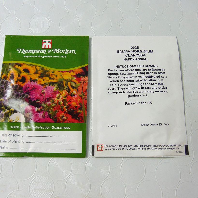 Exemplo de amostra de Graines de Salvia horminum Claryssa Mixed - Sauge verte en mélange die Tüte mit 150 Samen tal como entregue