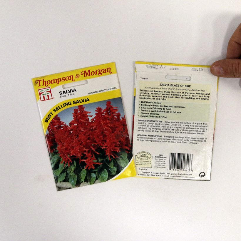 Exemplo de amostra de Graines de Salvia splendens Blaze Of Fire - Sauge éclatante die Tüte mit 100 Samen (0,4g) tal como entregue
