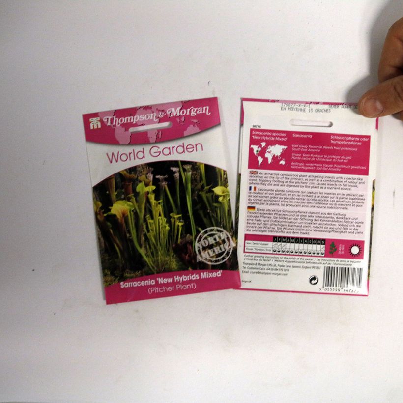 Exemplo de amostra de Graines de Sarracenia New Hybrids en mélange - Attrape-Mouches de Vénus  die Tüte mit 15 Samen tal como entregue