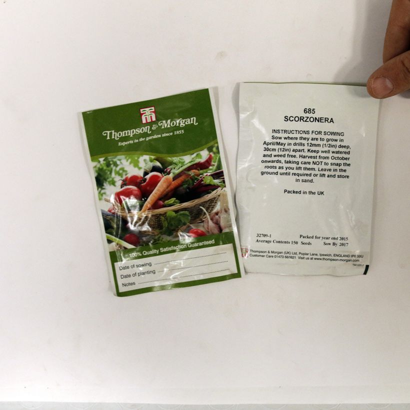 Exemplo de amostra de Graines de Scorzonera hispanica - Salsifis noir die Tüte mit 150 Samen tal como entregue