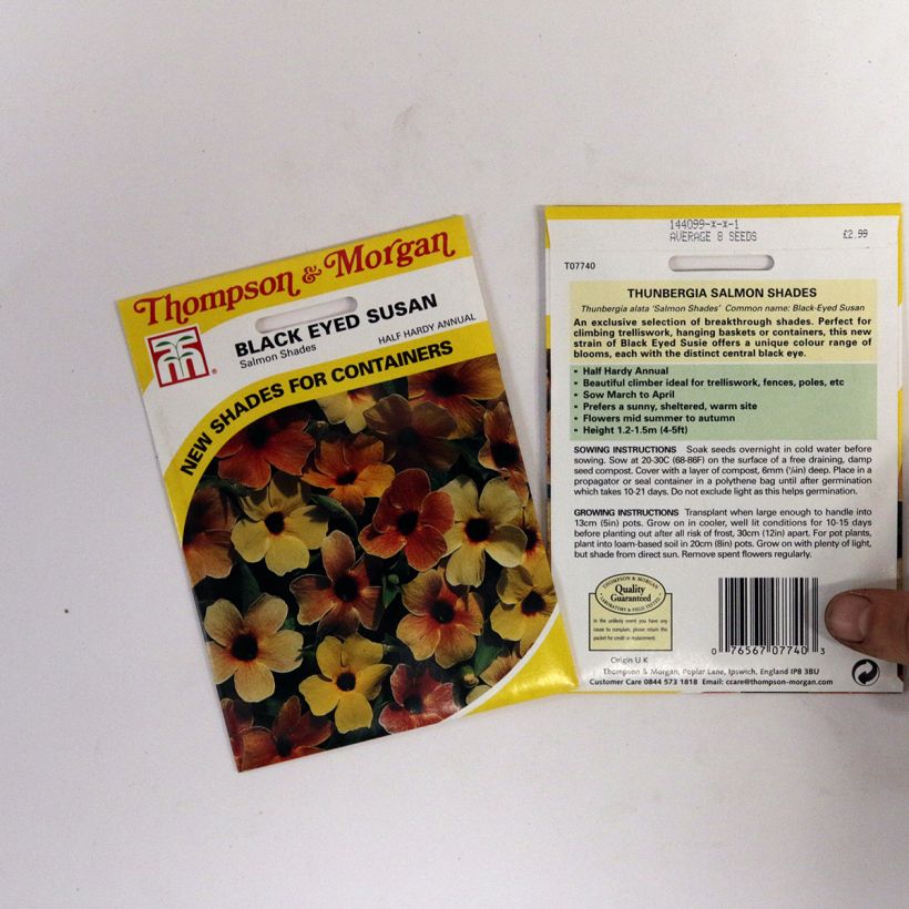 Exemplo de amostra de Graines de Suzanne aux yeux noirs Salmon Shades - Thunbergia alata die Tüte mit Samen von 2 Gramm tal como entregue