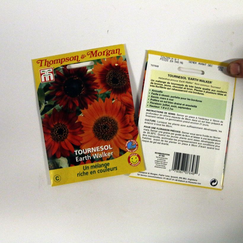 Exemplo de amostra de Graines de Tournesol Earth Walker - Helianthus annuus per 0.95 g seed pack tal como entregue