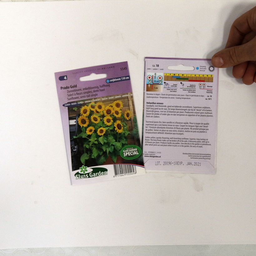 Exemplo de amostra de Graines de Tournesol Prado Gold - Helianthus annuus die Tüte mit 18 Samen tal como entregue