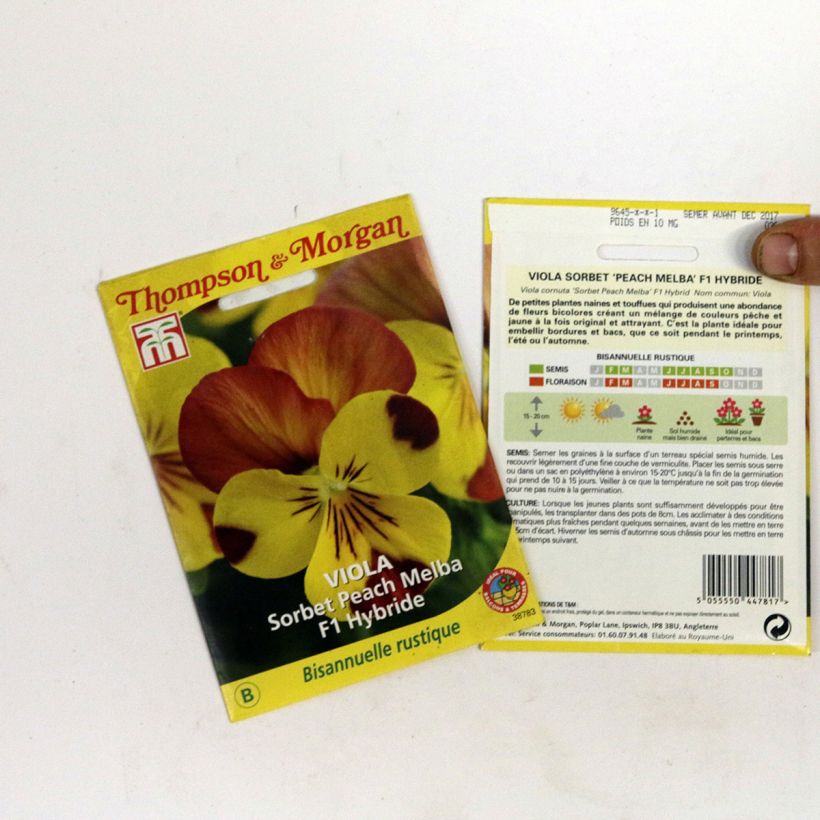 Exemplo de amostra de Graines de Viola Sorbet Peach Melba F1  die Tüte mit Samen von 2 Gramm tal como entregue