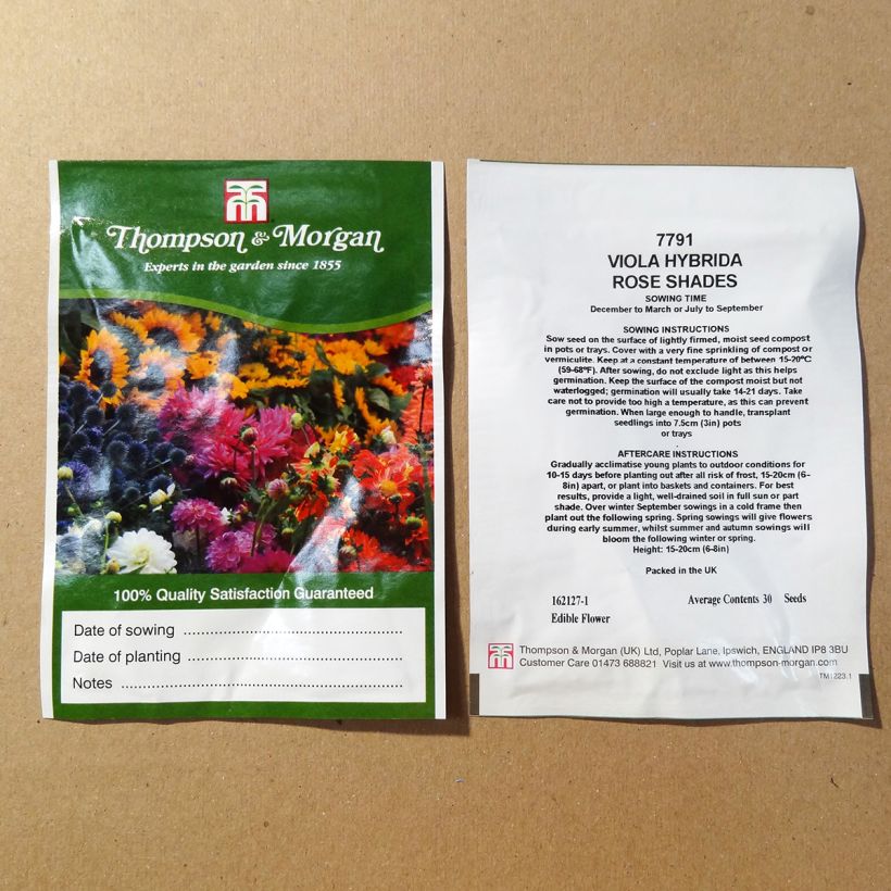 Exemplo de amostra de Graines de Viola Rose Shades  die Tüte mit 30 Samen tal como entregue