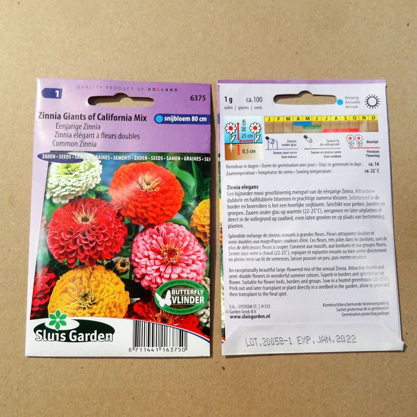 Exemplo de amostra de Graines de Zinnia Géant de Californie en mélange die Tüte mit 100 Samen (1g) tal como entregue