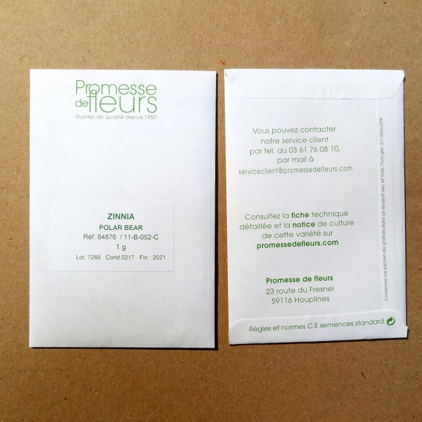 Exemplo de amostra de Zínia elegans Polar Bear em sementes o saco de 100 sementes aproximadamente (1g) tal como entregue