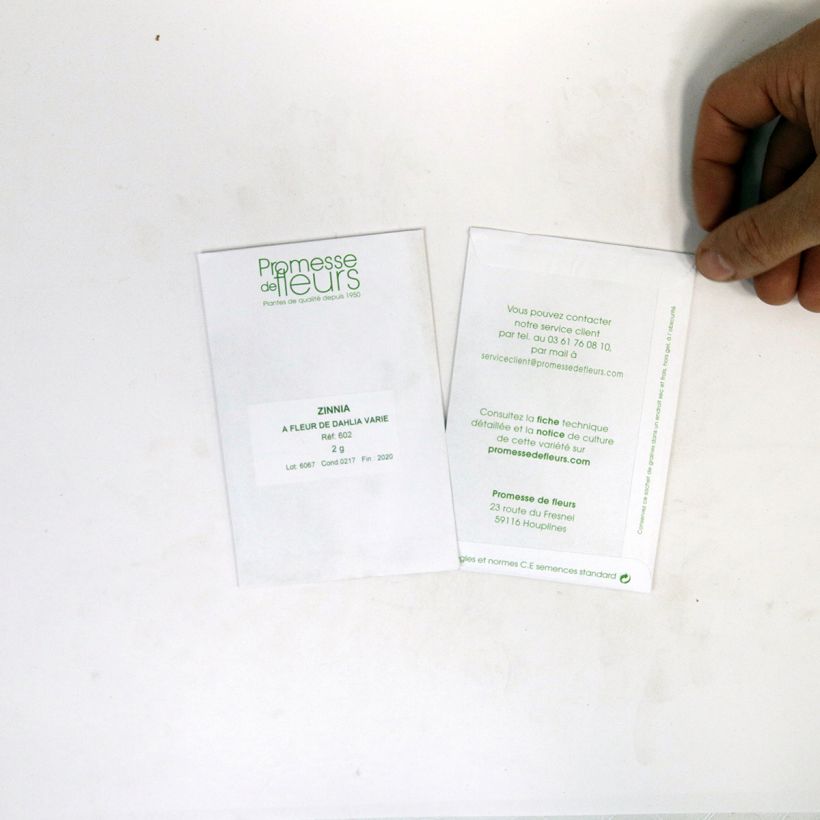 Exemplo de amostra de Zínia elegans em sementes o saco de 200 sementes aproximadamente (2g) tal como entregue