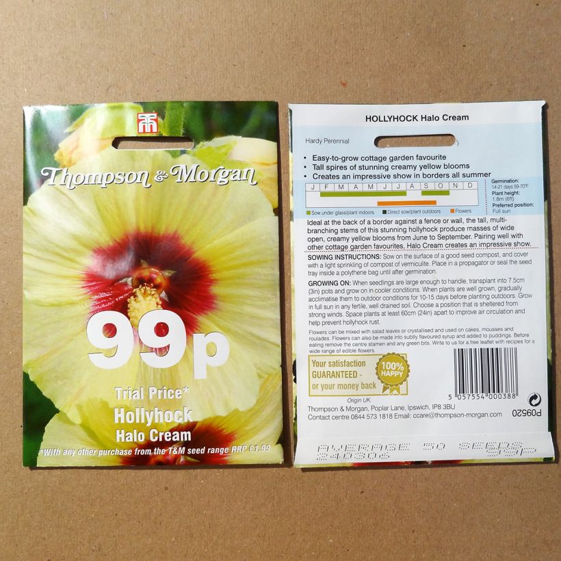 Exemplo de amostra de Graines de Rose trémière Halo Cream - Alcea rosea die Tüte mit 25 Samen tal como entregue