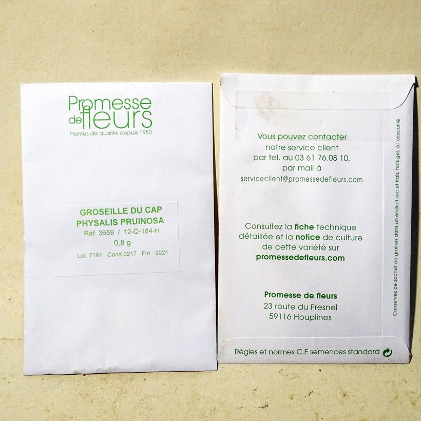 Exemplo de amostra de Groseille du Cap Preciosa - Physalis per pack of 700 seeds (0,8g) tal como entregue