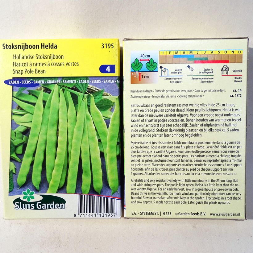 Exemplo de amostra de Haricot à rames mangetout Helda (gousses plates) die Tüte mit 150 Samen (85g) tal como entregue