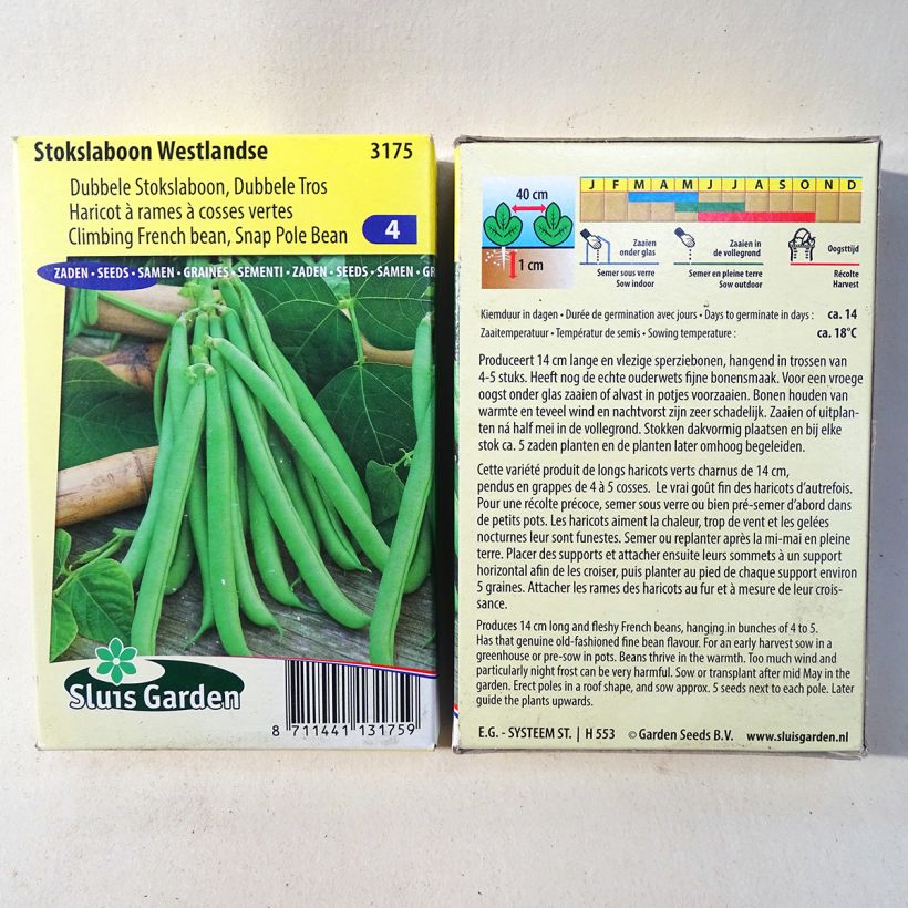 Exemplo de amostra de Haricot à rames mangetout Westlandse die Tüte mit 200 Samen (100g) tal como entregue