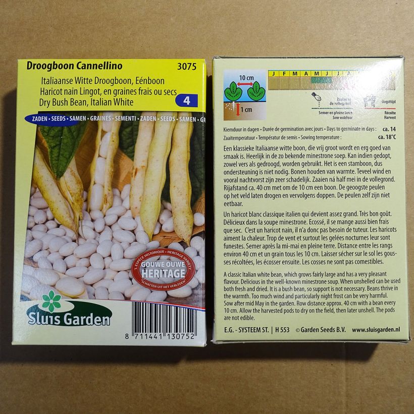 Exemplo de amostra de Haricot nain à écosser Cannellino (type Lingot) die Tüte mit 200 Samen (100g) tal como entregue