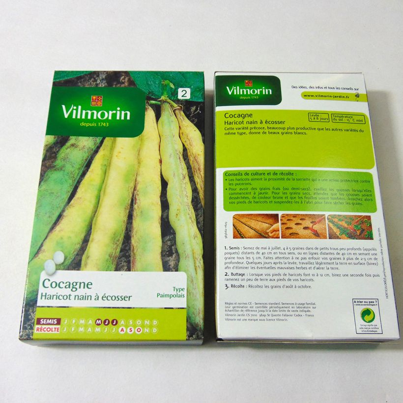 Exemplo de amostra de Haricot nain à écosser Cocagne  - Vilmorin die Tüte mit 400 Samen (200g) tal como entregue