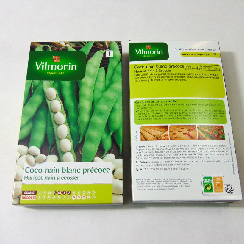 Exemplo de amostra de Haricot nain à écosser Coco Blanc précoce - Vilmorin die Tüte mit 400 Samen (200g) tal como entregue