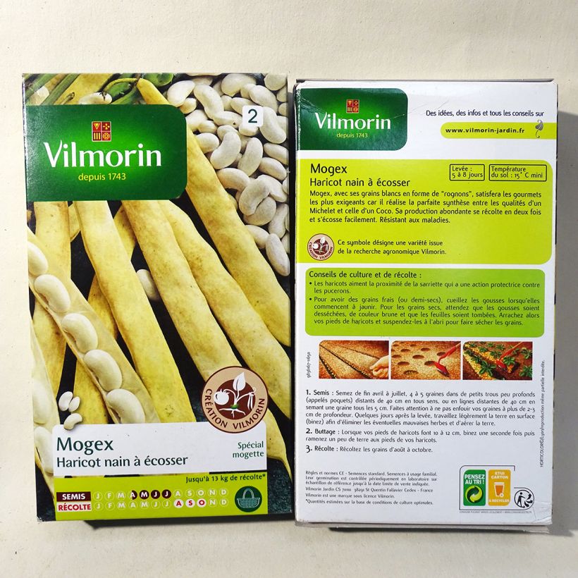 Exemplo de amostra de Haricot nain à écosser Mogex die Tüte mit 75 Samen (90g) tal como entregue