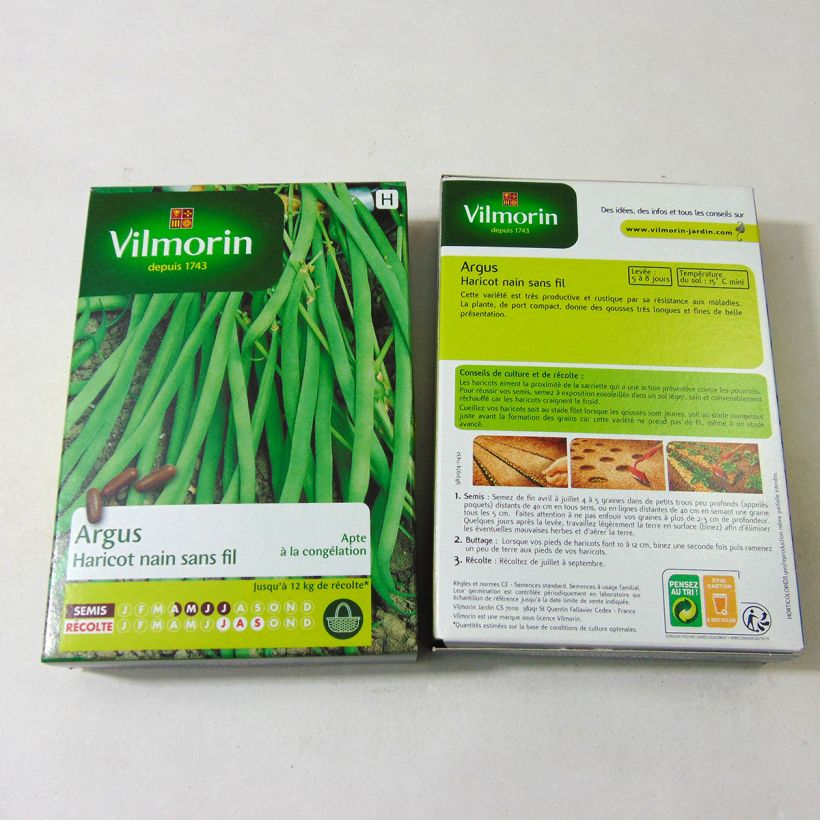 Exemplo de amostra de Haricot nain à filet Argus - Vilmorin die Tüte mit 200 Samen (100g) tal como entregue