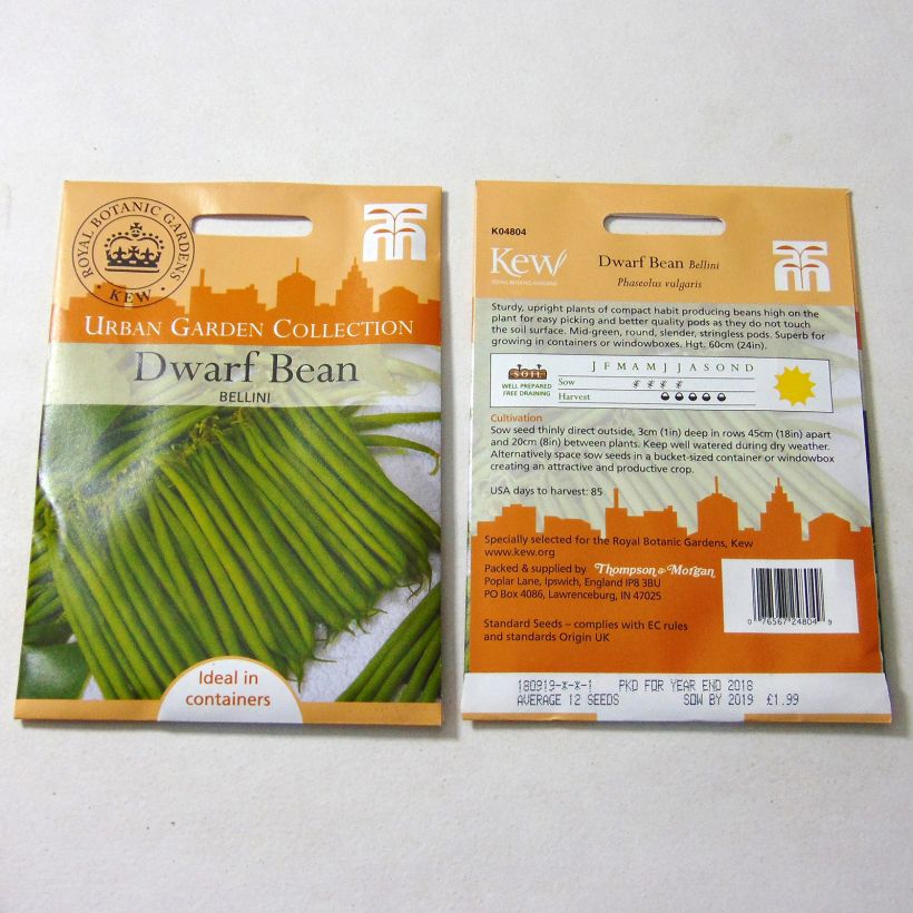 Exemplo de amostra de Haricot nain à filet Bellini die Tüte mit 12 Samen tal como entregue