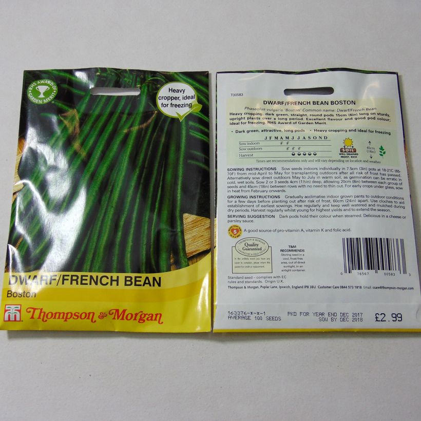 Exemplo de amostra de Haricot nain à filet Boston die Tüte mit 100 Samen tal como entregue