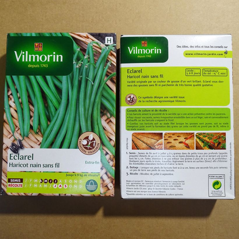 Exemplo de amostra de Haricot nain à filet Eclarel (Création Vilmorin) - Vilmorin die Tüte mit 200 Samen (100g) tal como entregue