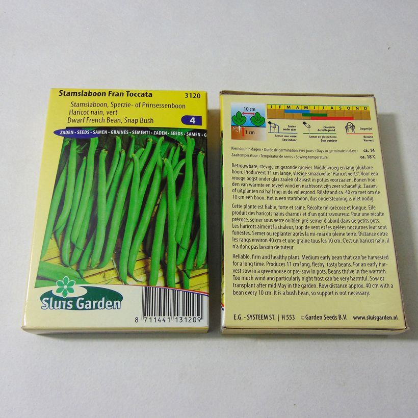 Exemplo de amostra de Haricot nain à filet Fran Toccata die Tüte mit 150 Samen (75g) tal como entregue
