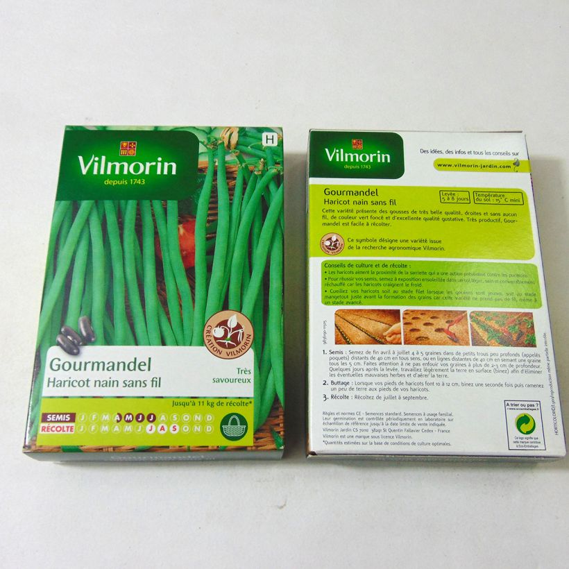 Exemplo de amostra de Haricot nain à filet Gourmandel (Création Vilmorin) - Vilmorin per pack of 200 seeds (100g) tal como entregue