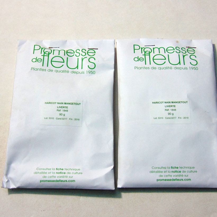 Exemplo de amostra de Haricot nain mangetout Liverte per pack of 180 seeds (90g) tal como entregue