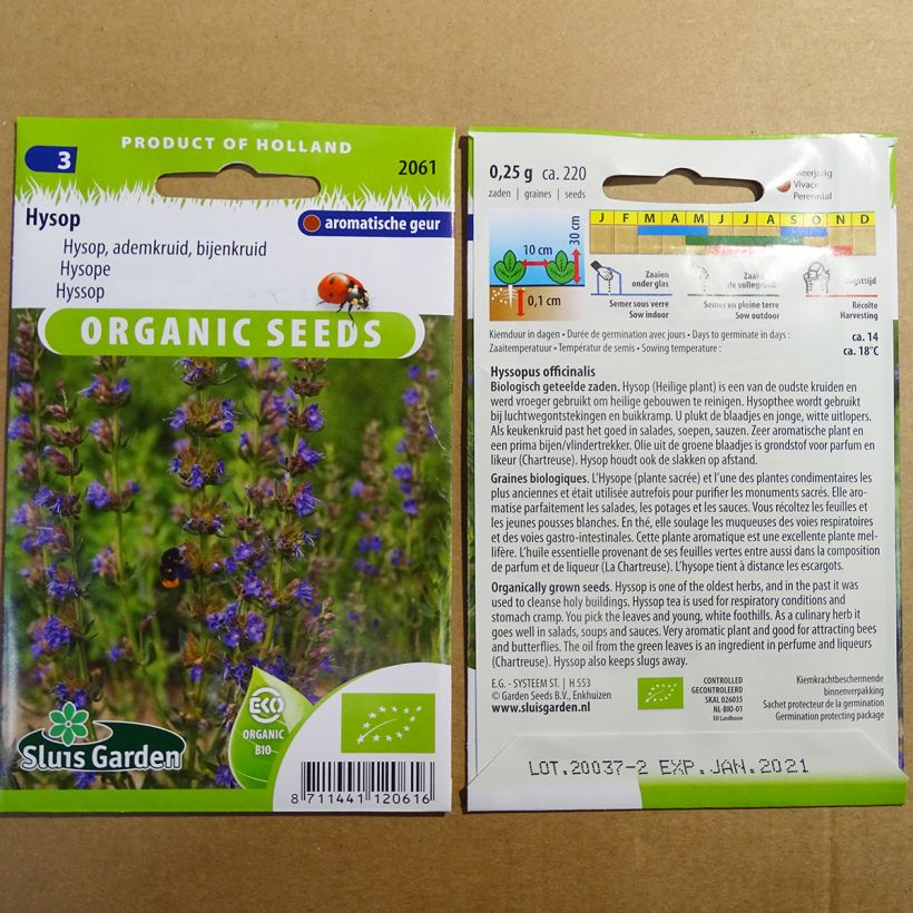 Exemplo de amostra de Hysope officinale Bio die Tüte mit 220 Samen (0.25g) tal como entregue
